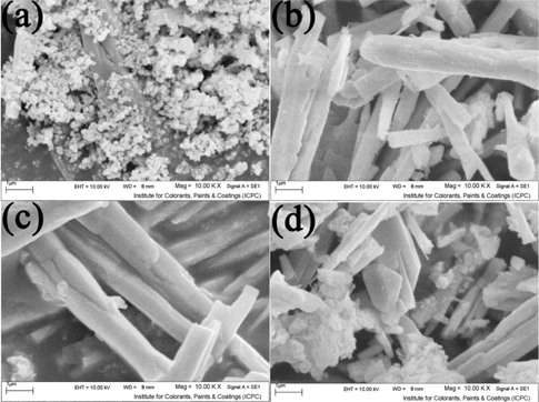 Figure 6: SEM image of sample no. 11–14.