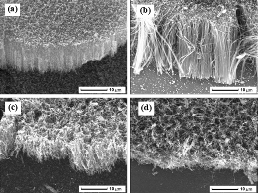 Figure 4: SEM images of CNTs grown on different treated substrates with different nickel film thickness (a) 5 nm, (b) 10 nm, (c) 15 nm, (d) 20 nm.