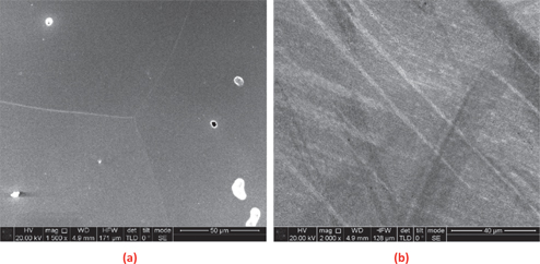 Figure 4: Microstructure of Hf1 sample, (a) annealed at 1,025 °C for 3 h showing equiaxial β phase grains, (b) quenched in iced brine after solution treated at 1,025 °C showing martensite phase (α//).