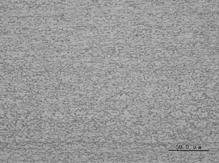 Figure 8: Microstructure of BM of TC4 titanium alloy.