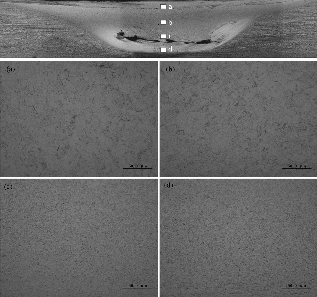 Figure 9: Microstructure of cross section of joints at rotational velocity of 375 rpm: (a) d=0.25 mm, (b) d=0.75 mm, (c) d=1.25 mm, (d) d=1.75 mm (d represents the distance away from weld surface).
