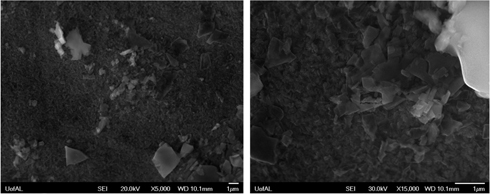 Figure 3: 
						Scanning electron micrograph of products adherent on the surface of SS316L after immersion in LiNO3-NaNO3-KNO3-NaNO2 molten salt after 748 h (a) 5000× magnification (b) 15000× magnification.
					