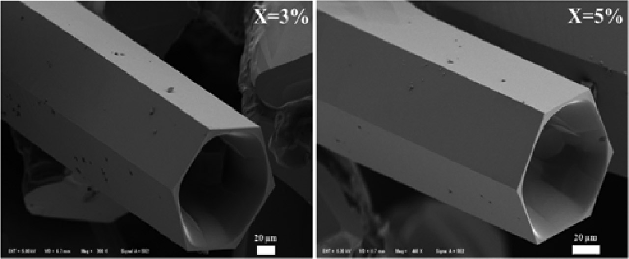 Figure 2: FE-SEM images of the microwave synthesized Zn0.97Cd0.03O and Zn0.95Cd0.05O microtubes.