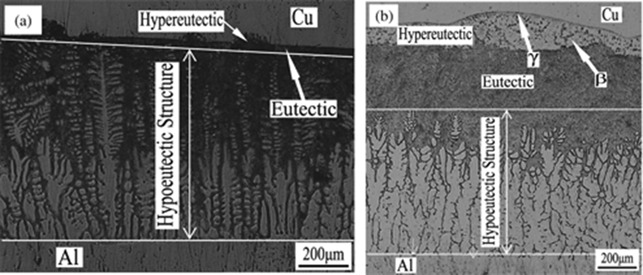 Figure 4: Metallograph of the solidification microstructure in the transition layer: (a) holding for 60 s; (b) holding for 110 s.