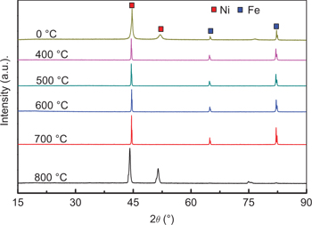 Figure 4: XRD patterns of Ni films on 430 stainless steel substrate at different heat treatment temperatures.