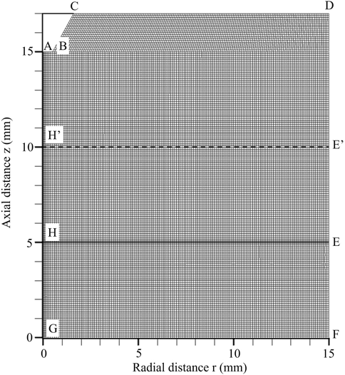Figure 3: Calculation domain and mesh.