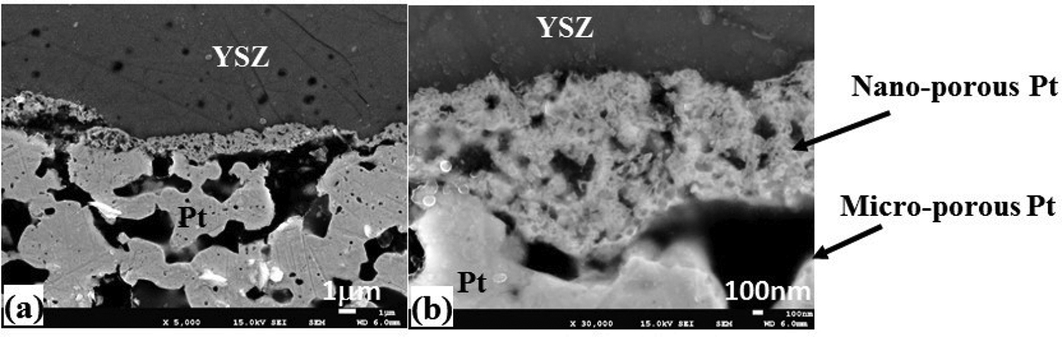 Figure 9: Interface between Pt cathode and YSZ after experiment (maximum potential: 2 V).