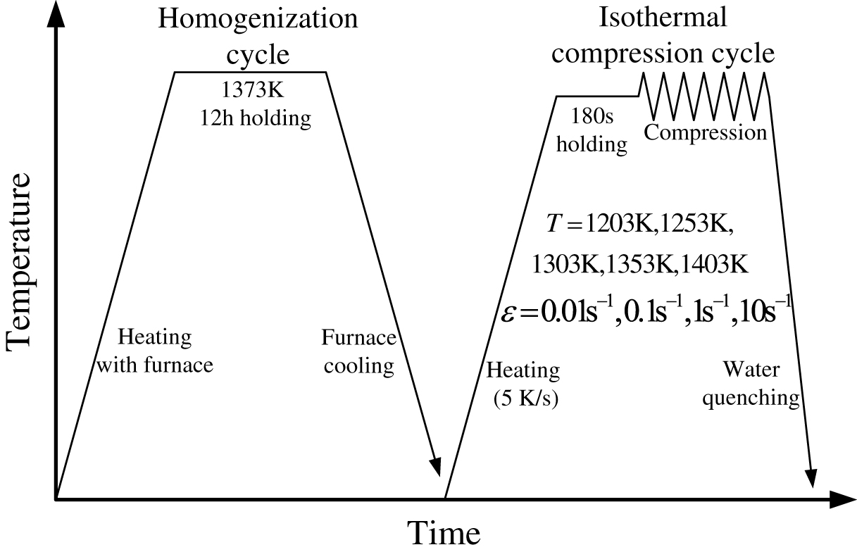 Figure 1: Experimental procedures for the isothermal compression tests.
