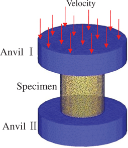 Figure 10: The finite element model for the simulated isothermal compression tests of 3Cr20Ni10W2 heat-resisting alloy.