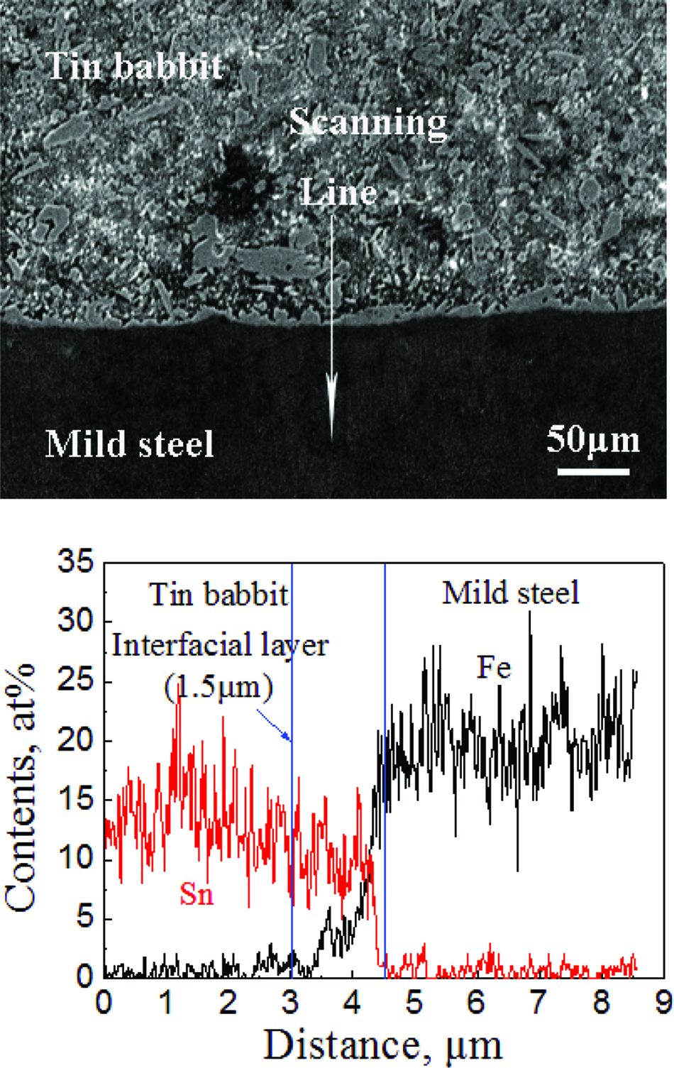 Figure 11: SEM and EDS analysis of IMCs.