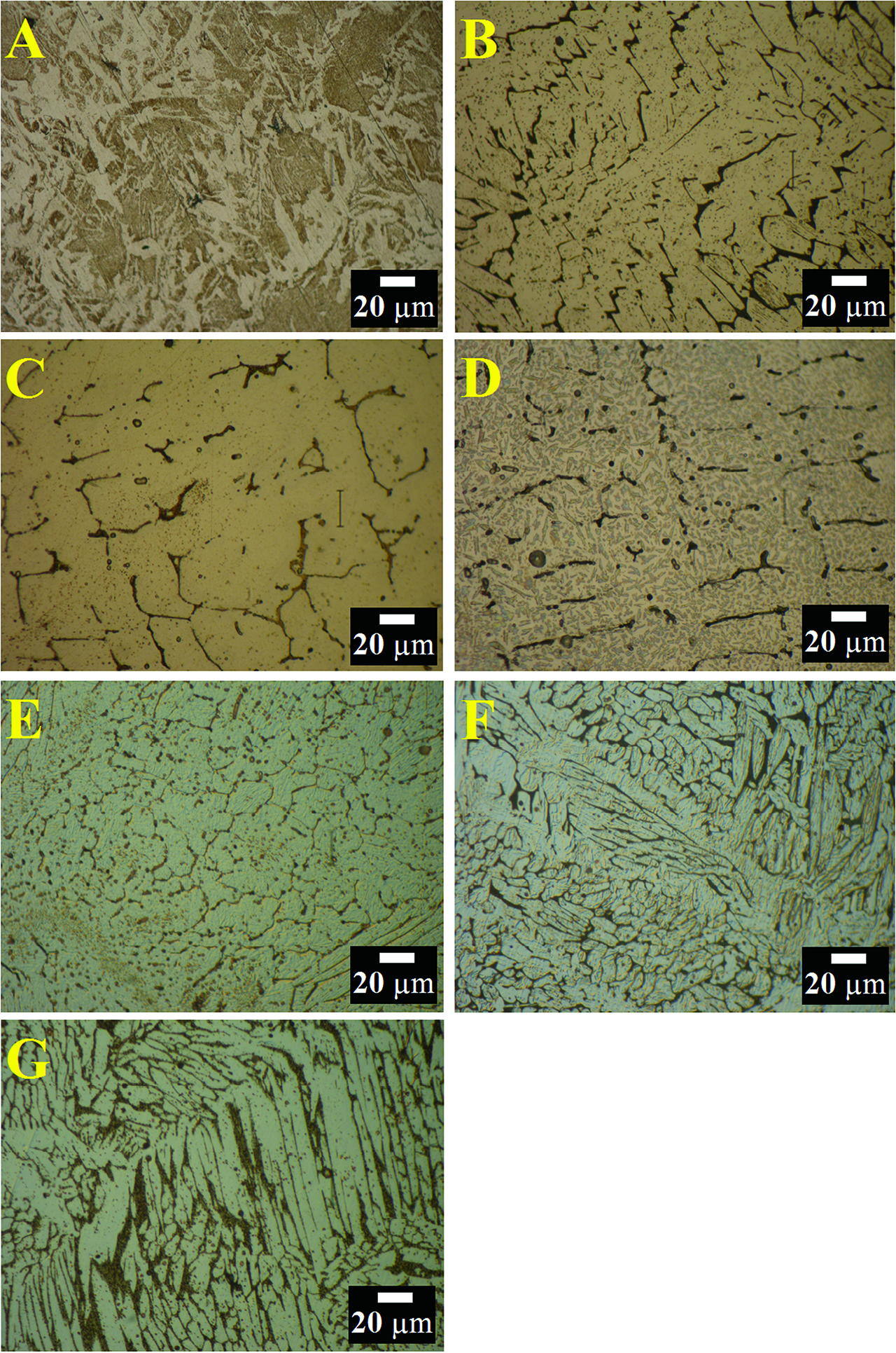 Figure 7: Optical microscope micrographs of the selected Fe-based alloys which were produced by using metallothermic reduction process (A: Unalloyed iron, B: 304, C: 305, D: 201, E: 301, F: 316, G: 317).