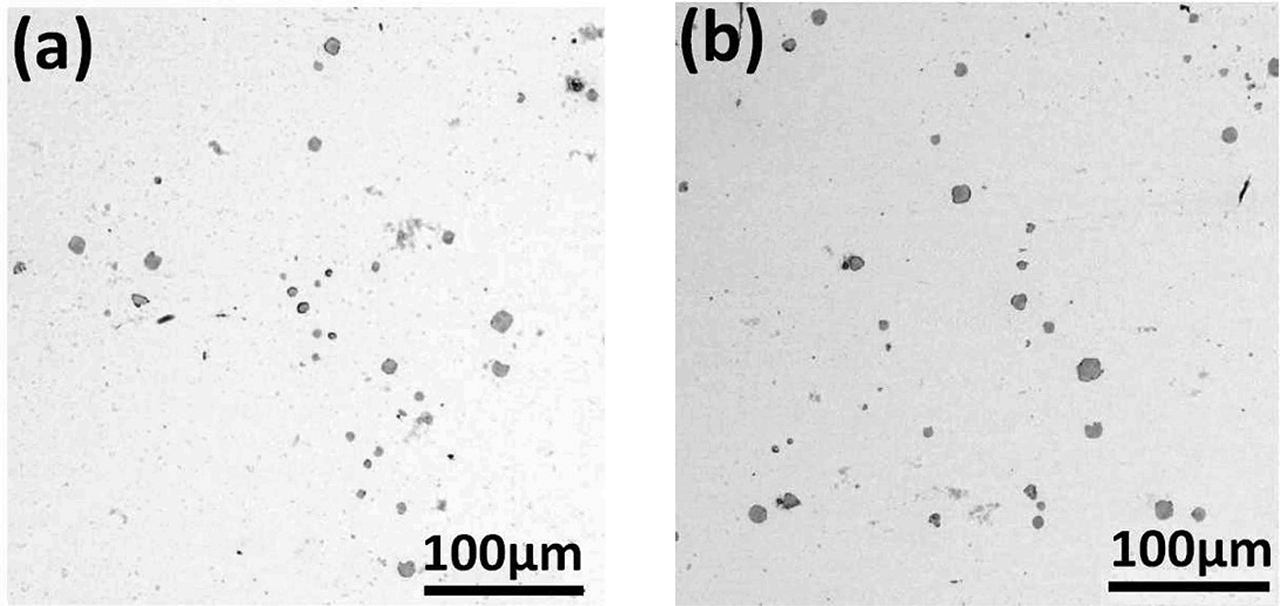 Figure 5: Low magnification SEM images of samples after corrosion.
