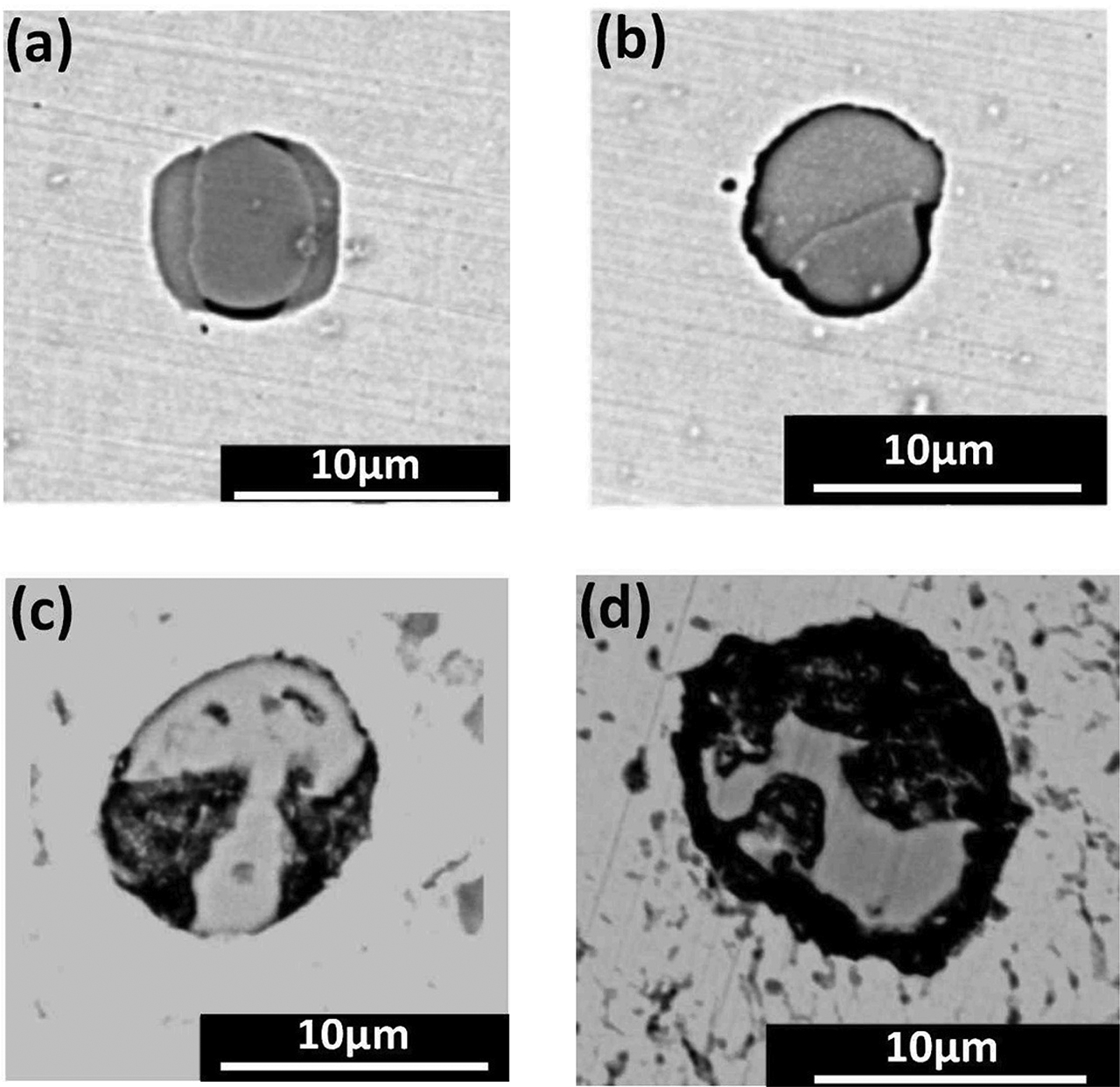 Figure 6: SEM images of four different pitting corrosion morphologies. (a) Sulfide inclusion surrounding matrix partly dissolved. (b) Sulfide inclusion surrounding matrix totally dissolved. (c) The interior of sulfide inclusion dissolved. (d) Both interior and surrounding matrix dissolved.