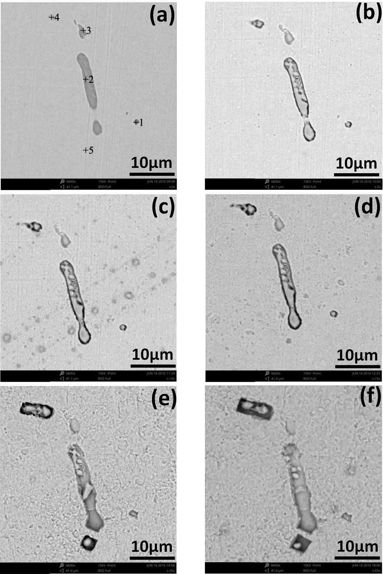 Figure 8: Different corrosion Morphology of MnS inclusions in different times. (a) 0 s; (b) 5 s; (c) 10 s; (d) 15 s; (e) 35 s; (f) 65 s.