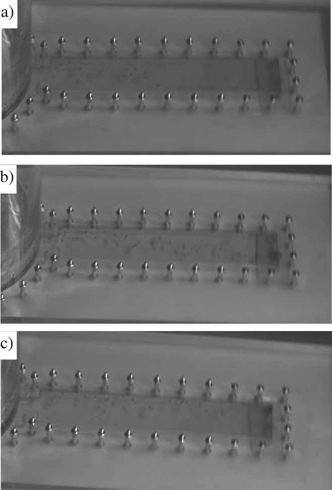 Figure 4: Migration trajectory of bubble at different position in simple cavity (clockwise, 300 rpm).