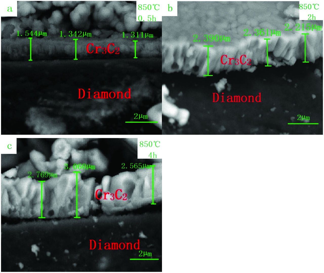Figure 9: The coating thickness of SEM images by microwave heating at temperature of 850 °C for different time (a) 0.5 h, (b) 2 h and (c) 4 h.
