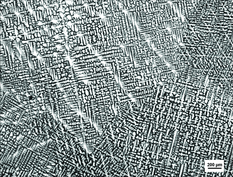 Figure 1: Microstructure of as received BFe10-1-2 cupronickel alloy.