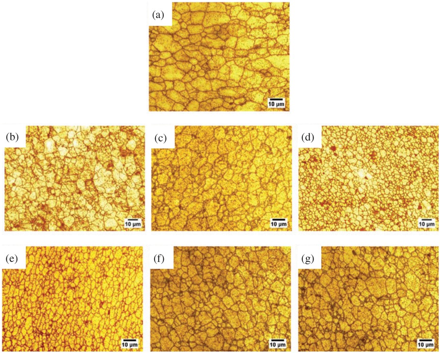 Figure 6 Microstructures of grain size distribution in the cross –section of the specimen: (a) BM (Gave = 7.24 μm); (b) SAZ (Gave = 5.37 μm); (c) Middle of NZ (Gave = 5.84 μm); (d) Bottom of NZ (Gave = 2.51 μm); (e) AS-TMAZ (Gave = 3.50 μm); (f) RS-TMAZ (Gave = 5.78 μm); (g) HAZ (Gave = 5.84 μm).