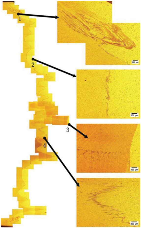 Figure 9 Kissing bond (KB) of XZ surface of FSW joint.