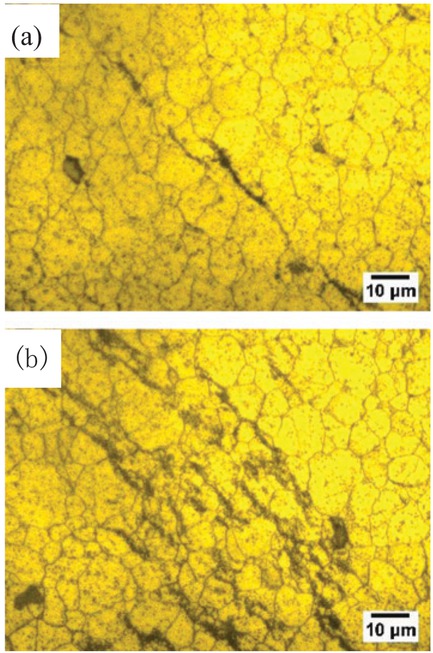 Figure 10 The relationship between the position of Kissing bond (KB) and grains. (a) Thinner position of KB line; (b) Thicker position of KB line.