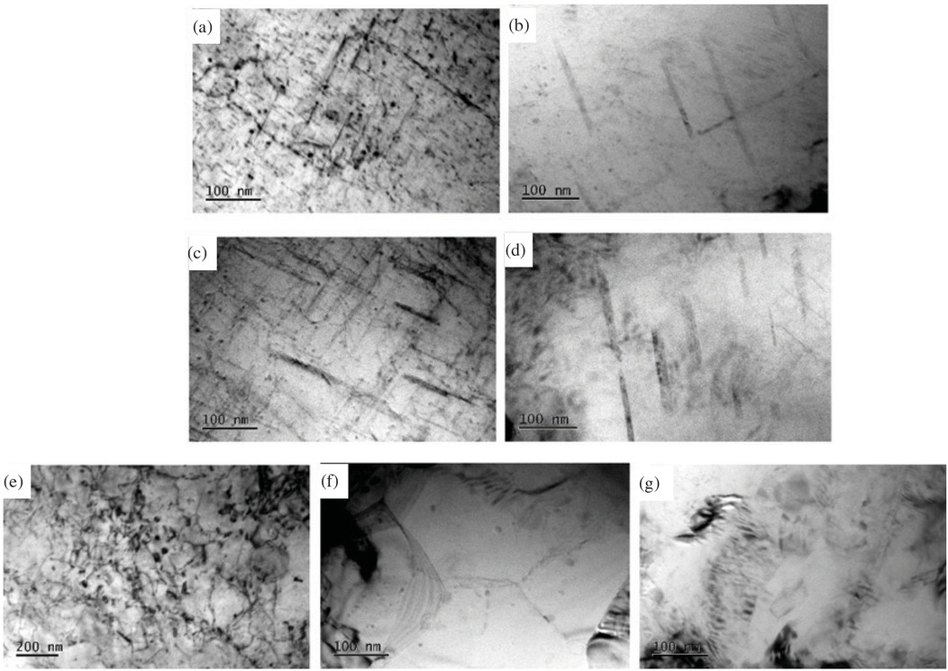 Figure 11 Precipitate particles in the interior grain of: (a) BM; (b) SAM; (c) Middle of NZ; (d) Bottom of NZ; (e) AS-TMAZ; (f) RS-TMAZ; (g) HAZ.
