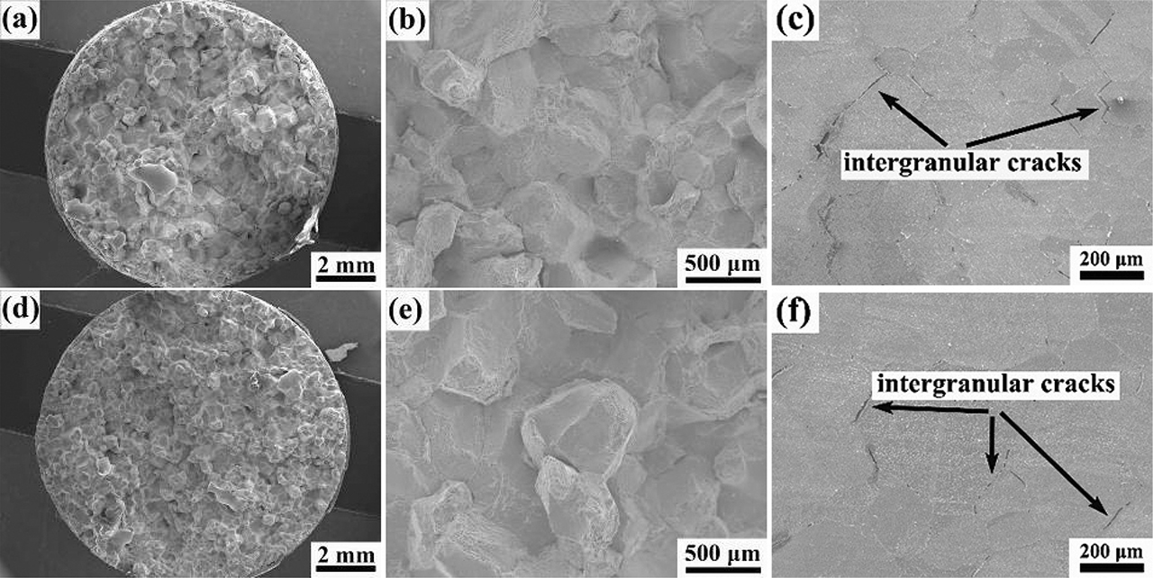 Figure 3: The fractures of the investigated alloys tested at 900 °C in Zone II: (a–c) The macrostructure, microstructure and longitudinal microstructure of the fracture morphology of alloy B0; (d–f) the macrostructure, microstructure and longitudinal microstructure of the fracture morphology of alloy B1.
