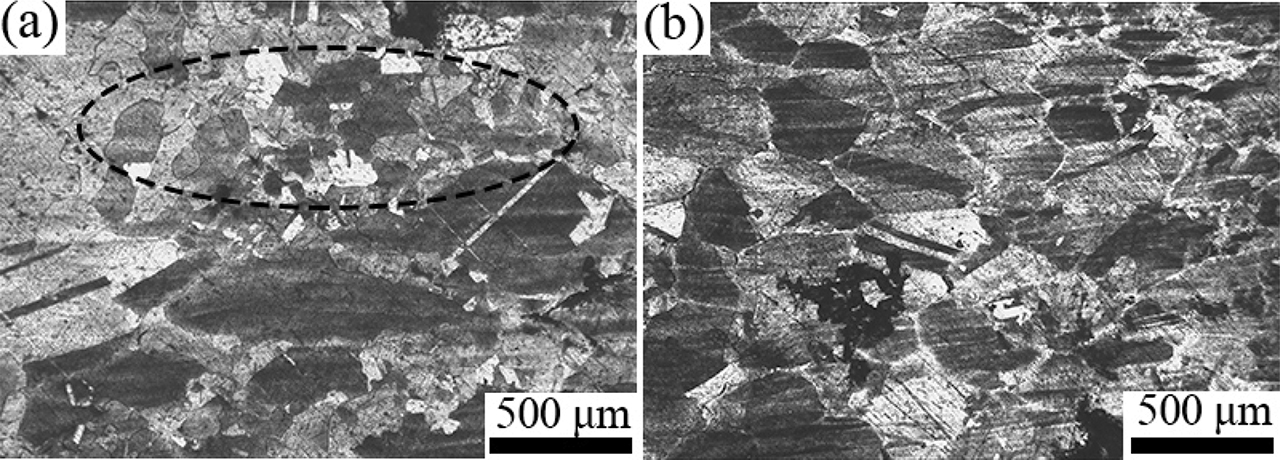 Figure 4: The microstructure of the longitudinal sections near the fracture front of alloy B0 (a) and B1 (b) specimens strained at 1000 °C.