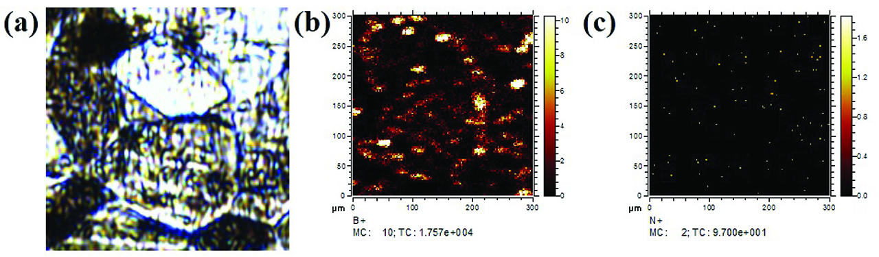 Figure 8: The distribution of the elements in the deformation area of alloy B1 at 1000 °C investigated by the SIMS: (a) the microstructure of the deformation area, (b) the distribution of the B atoms and (c) the distribution of the N atoms.
