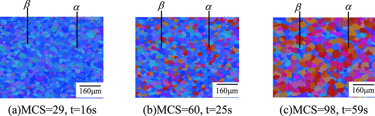 Figure 8: Grain growth of α/β phases in SZ in 1100 rpm and 0.5 mm/s.