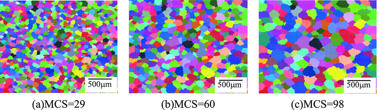 Figure 9: Grain growth of α/β phases in HAZ in 1100 rpm and 0.5 mm/s.