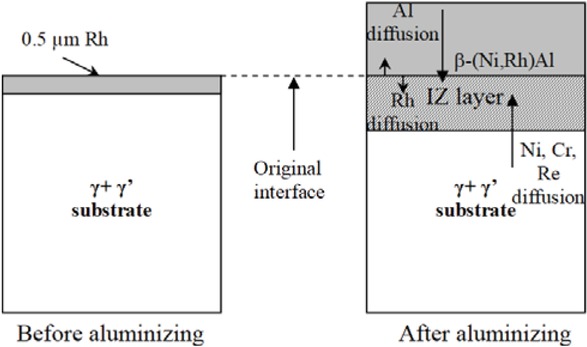 Figure 12 Rhodium modified aluminide coating formation on CMSX 4 Ni-based superalloy.