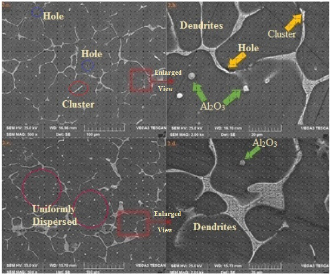 Figure 2 SEM comparison of AMCs