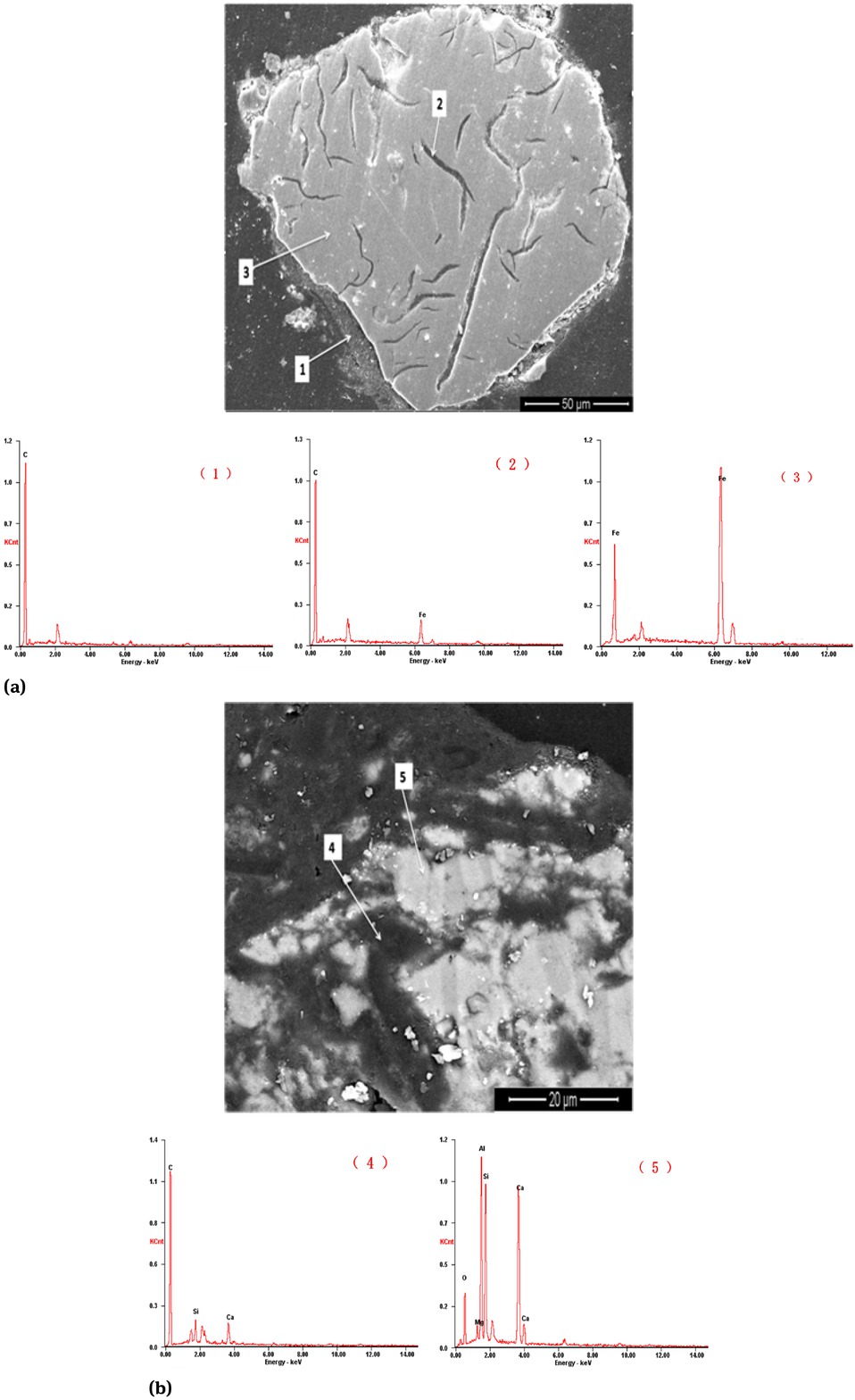 Figure 6 The morphology and energy spectrum analysis of Fe phase (a) and slag phase (b) of the reaction product