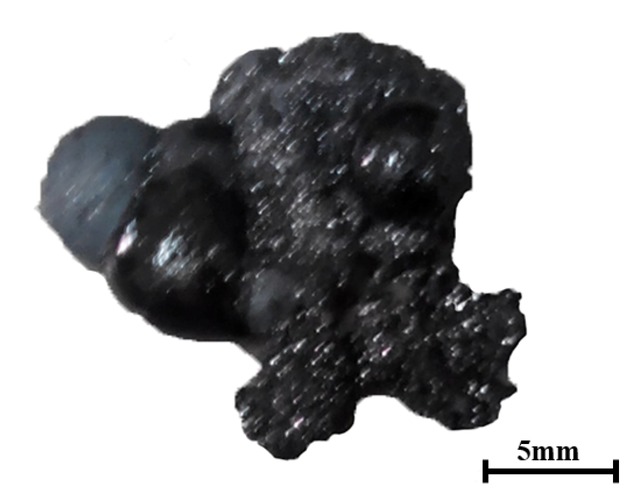 Figure 7 Morphology of reaction product containing magnetite concentrate