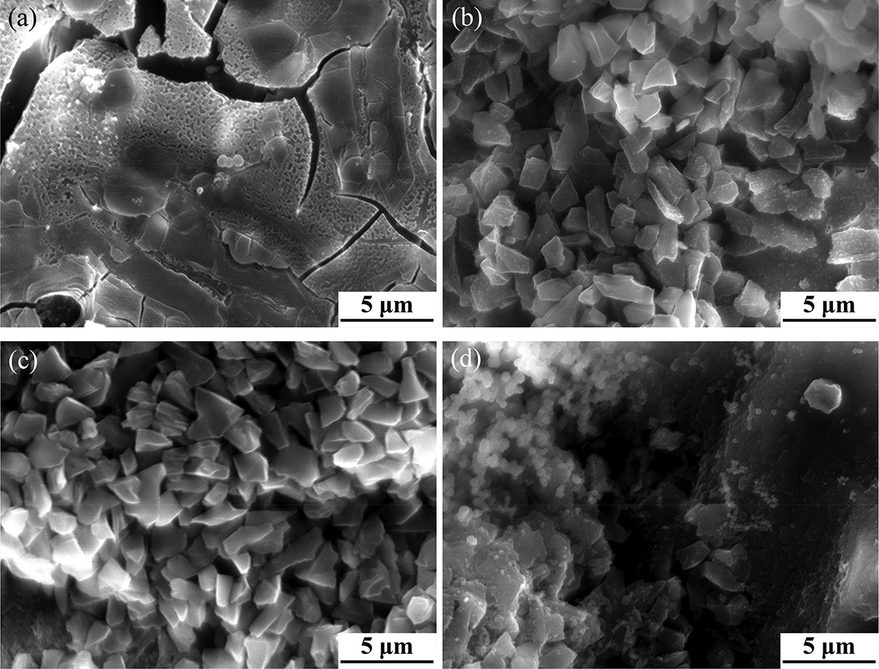 Figure 3: SEM images of the samples after heat treatment: (a) sample 1, (b) sample 4, (c) sample 5, and (d) sample 6.
