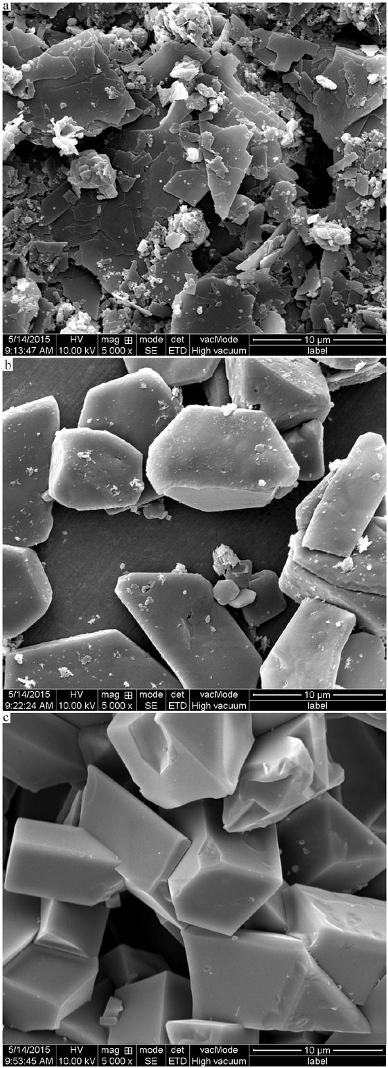 Figure 4 SEM of the crystal MOF-5.