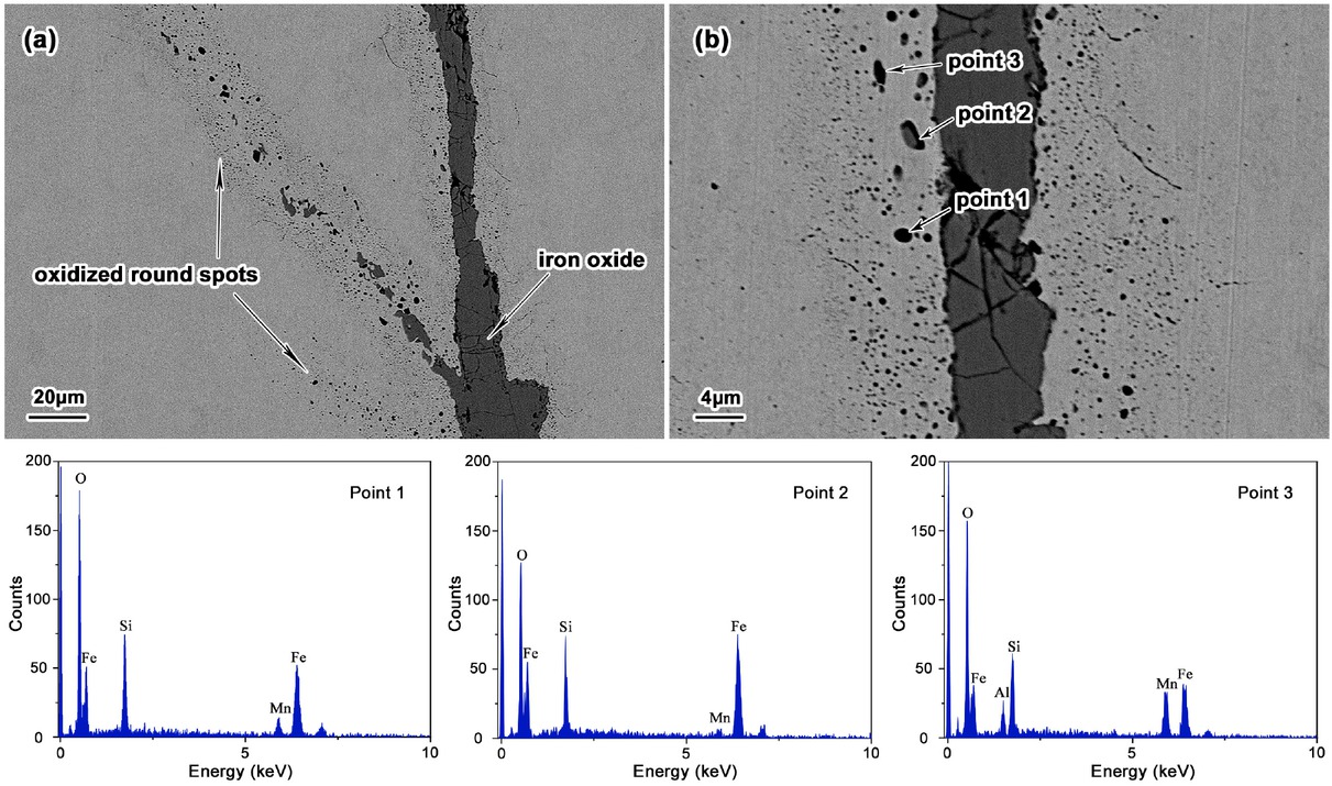 Figure 5 Microscopic morphology (a) and energy spectrum analysis (b) of the oxidized round spots in the reticular crack zone.