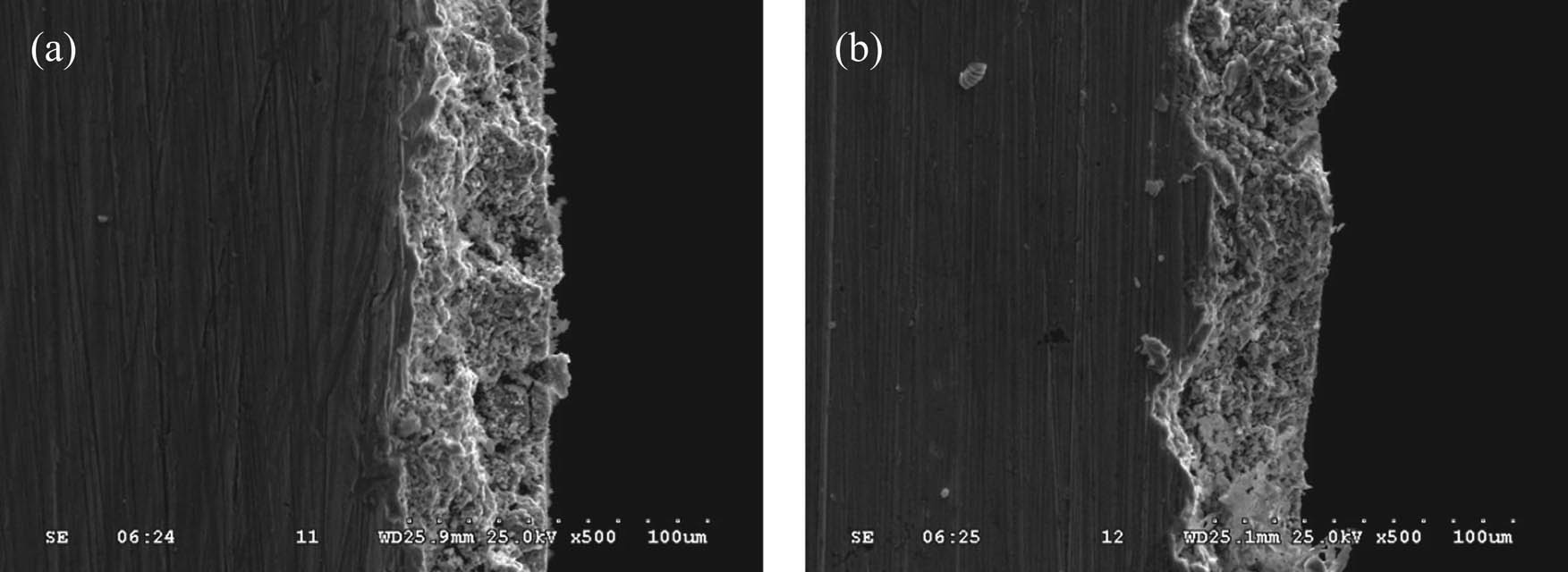 Figure 6 Profile morphology of brass alloy with and without EPT (a) original sample and (b) 3 Hz.