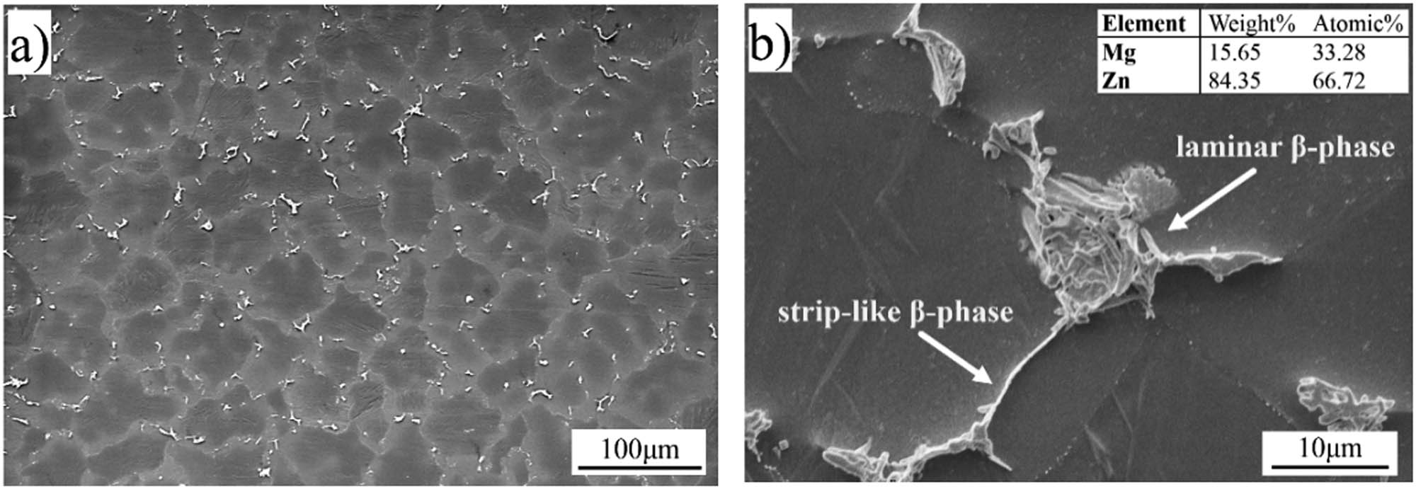 Figure 1 SEM images of the as-cast ZK60 alloy with (a) low magnification and (b) high magnification.