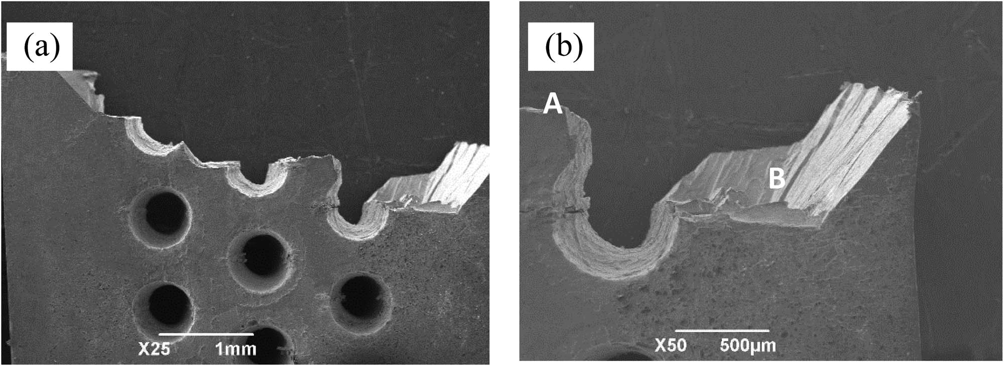 Figure 6 
                  Macroscopic fracture morphology of MSLD specimen: (a) fracture profile and (b) fracture surface near the hole.
               