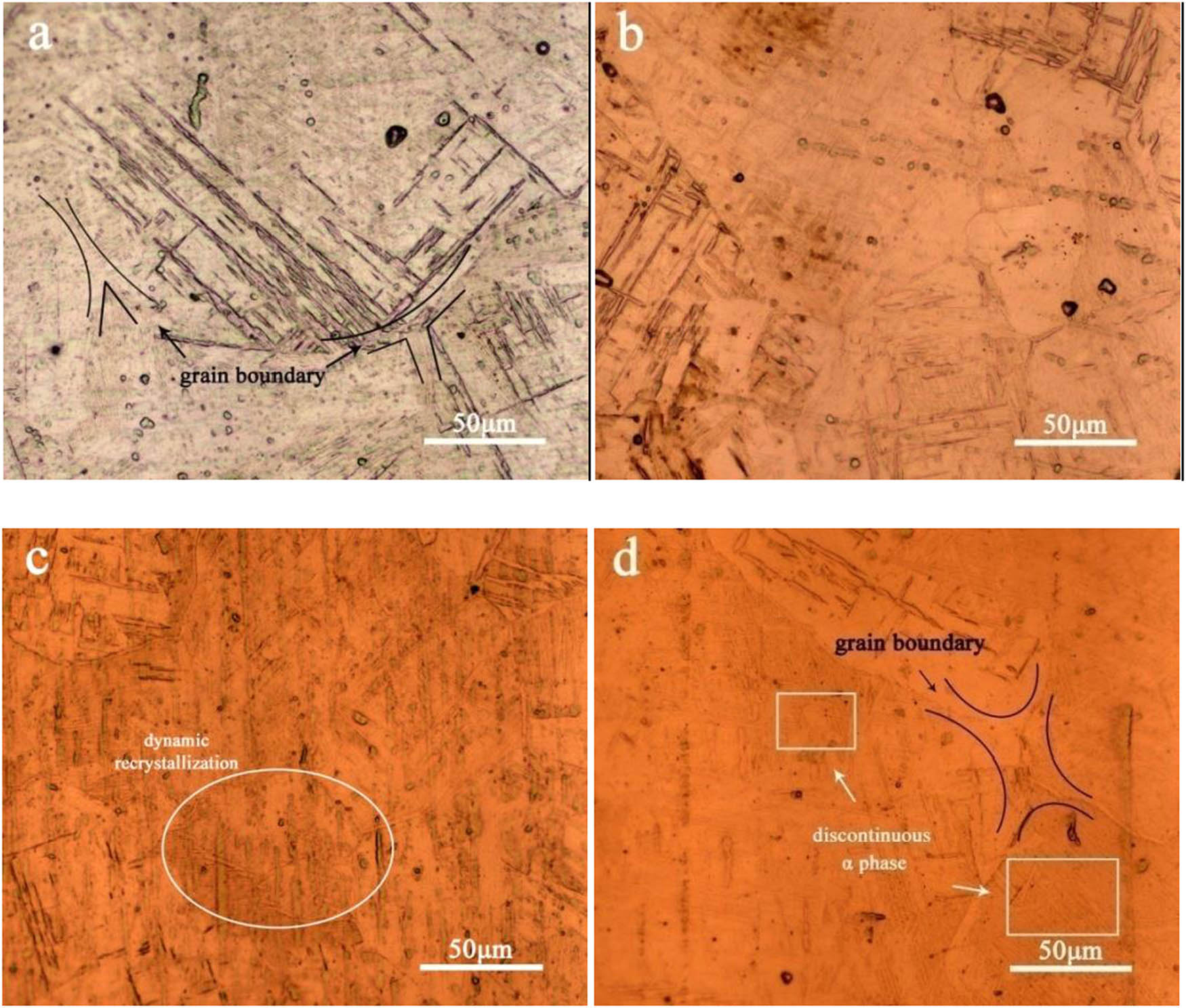 Figure 6 OM images of the samples at the deformation of one-pass: (a) 0.01 s−1, (b) 0.1 s−1, (c) 1 s−1 and (d) 5 s−1.