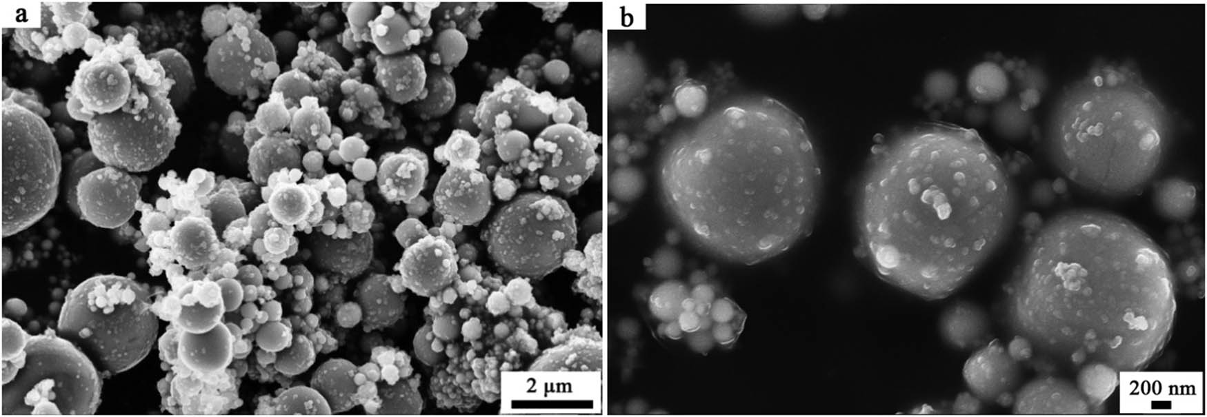 Figure 2 Filed-emission scanning electron micrographs of the studied β-MoO3 sample with different magnifications: (a) 20000 times; (b) 50000 times.