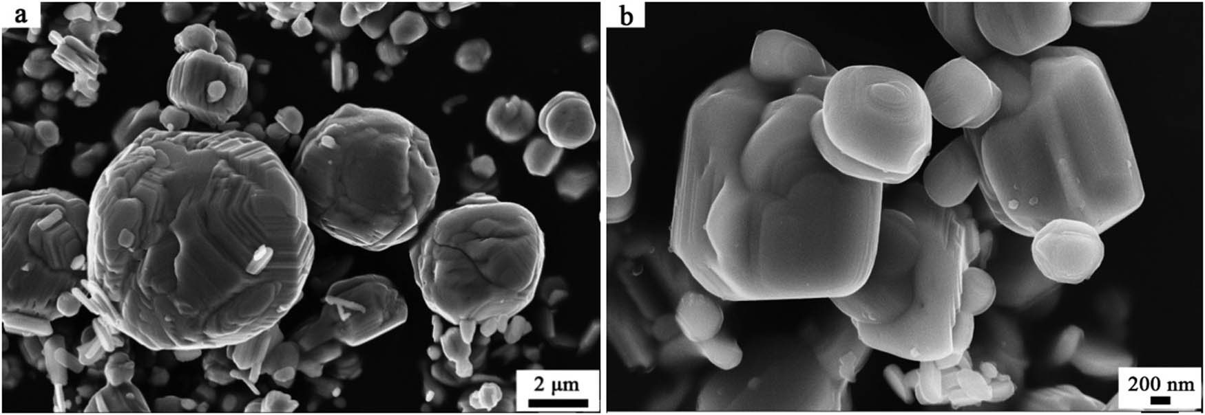 Figure 4 Field-emission scanning electron micrographs of the as-prepared α-MoO3 with different magnifications: (a) 15000 times; (b) 50000 times.