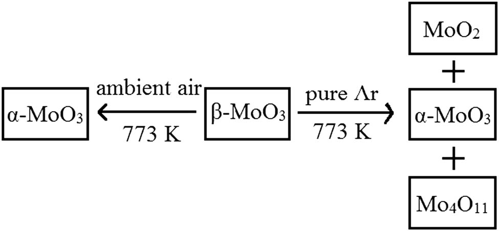 Figure 12 Schematic of the transformation of β-MoO3 under different conditions.