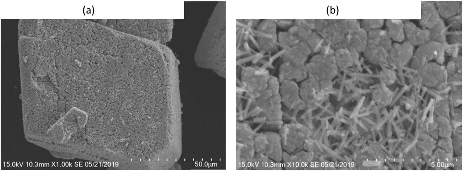 Figure 10
Morphology of residual rod-like WO2.72. (a) Low magnification; (b) high magnification.