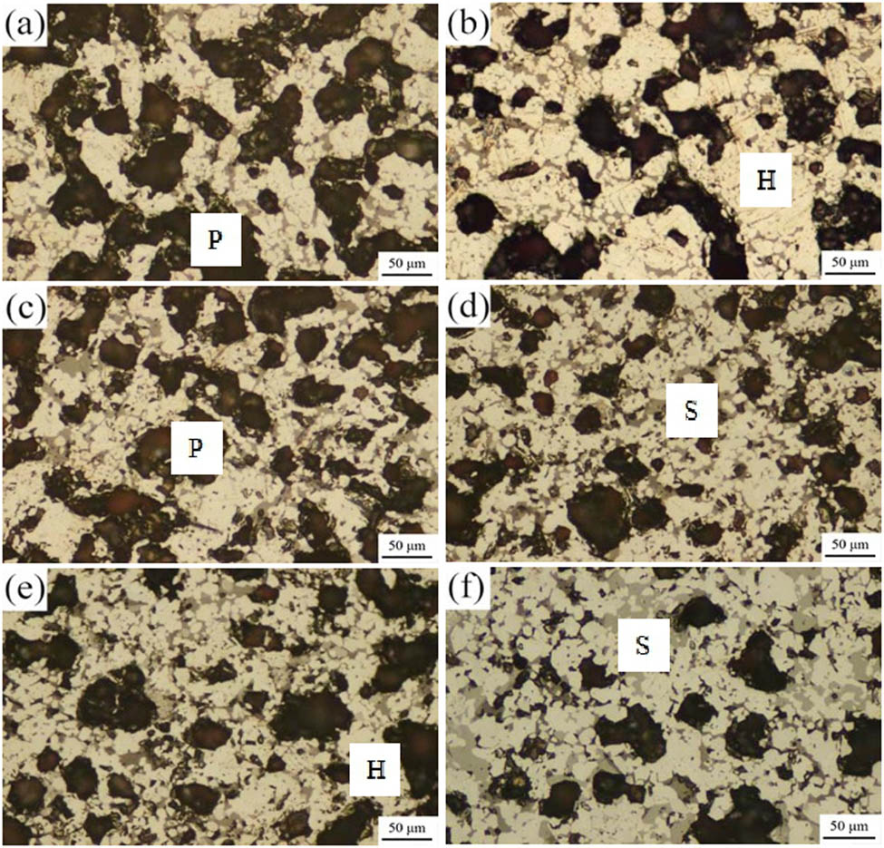 Figure 6 
                  Mineralogical microstructure photographs of roasted briquette specimens at different basicity values (H, hematite phase; S, silicate slag phase; P, porosity). (a)–(f) Briquette specimens #1 (0.2), #2 (0.4), #3 (0.6), #4 (0.8), #5 (1.0), and #6 (1.2).
               