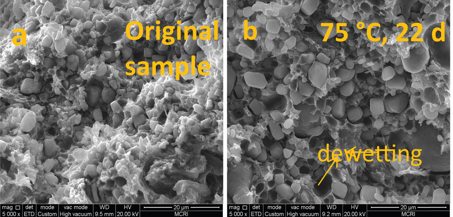 Figure 11
FESEM images of GaTo impact fracture section before (a) and after (b) aging at 75°C for 22 days.