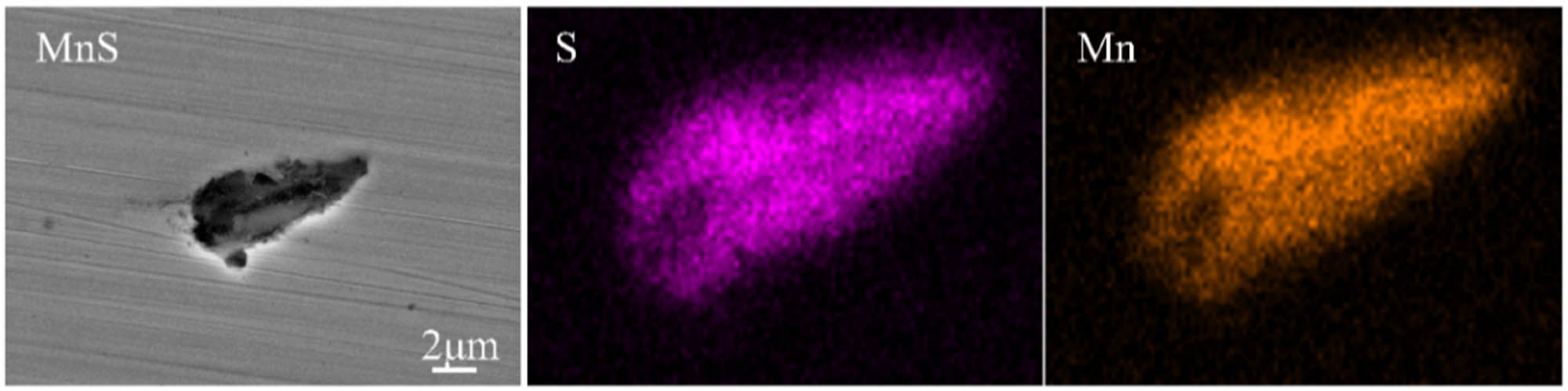 Figure 2 
                  Element distribution of MnS inclusions in hot-rolled Y-free steel.
               