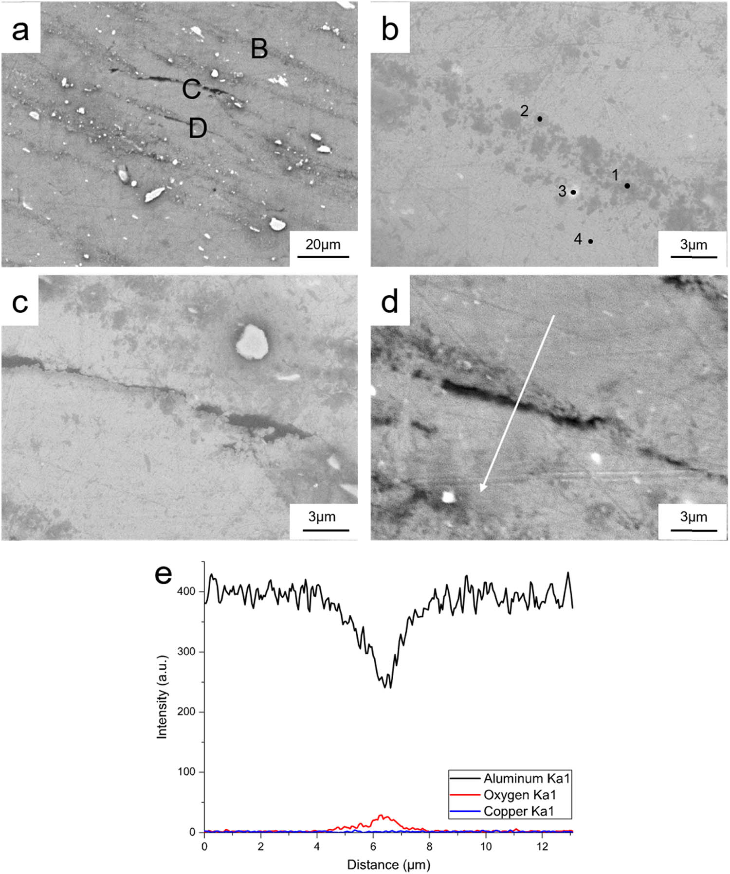 Figure 5 
                  (a) SEM surface morphology of JLR at region A in Figure 2(d); (b)–(d) magnification of B, C, and D in (a); (e) EDS analysis along the white arrow in (d).
               
