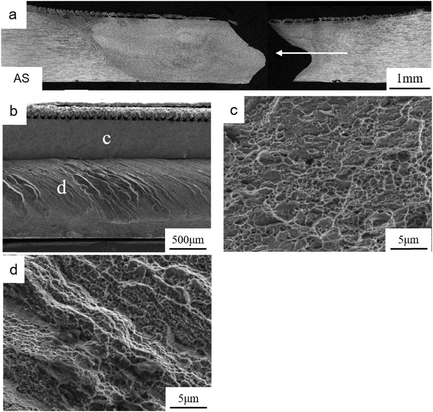 Figure 11 
                  (a) OM of as-tested B1 specimen and observation direction of SEM indicated by white arrow; SEM of (b) fracture surface and (c) and (d) local zones in (b).
               